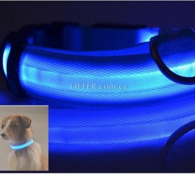 Glow in the dark led pet dog collar for night safety - 1