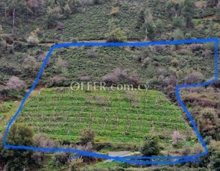 Residential land 8176 m² in Galata (photo 2)