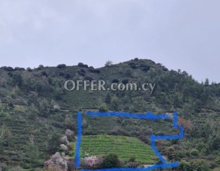 Residential land 8176 m² in Galata (photo 1)