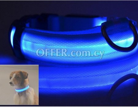 Glow in the dark led pet dog collar for night safety - Κολάρο σκυλιών LED για νυχτερινή ασφάλεια
