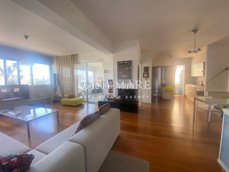 2 bedroom penthouse apartment with roof-garden 