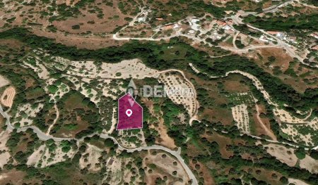 Agricultural Land For Sale in Kritou Tera, Paphos - DP3511 - 1