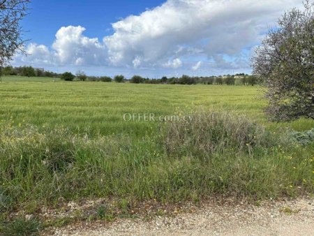 Field for sale in Anarita, Paphos
