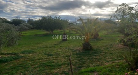 New For Sale €500,000 House (1 level bungalow) 3 bedrooms, Detached Agioi Trimithias Nicosia - 2