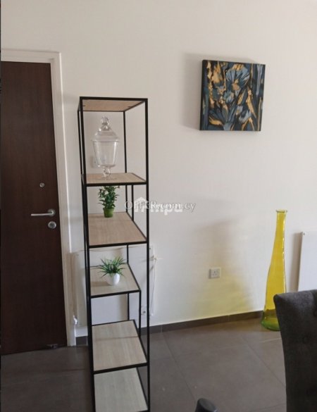 Two-Bedroom Apartment in Egkomi for Rent - 10