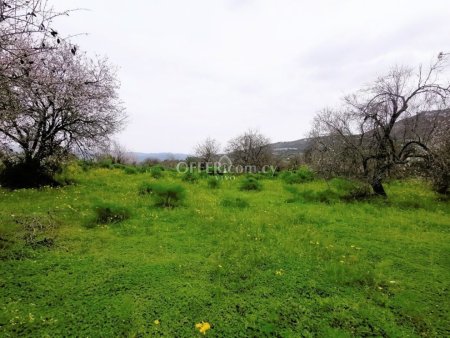 TWO RESIDENTIAL PLOTS OF 1629m2 LAND NEAR THE VILLAGE OF KATO LEFKARA - 1