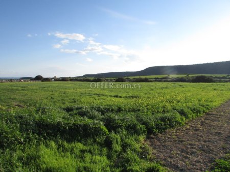 Land Parcel 11924 sm in Avdimou, Limassol