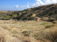 Land Parcel 7024 sm in Pissouri, Limassol - 1