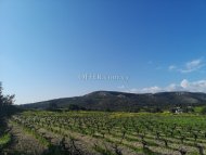 Land Area 251130 sm in Platanisteia, Limassol - 1