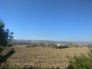 Land Parcel 11706 sm in Pissouri, Limassol - 1