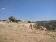 Land Parcel 23078 sm in Kouklia, Paphos - 4