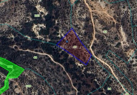 Land Parcel 4683 sm in Pissouri, Limassol - 2