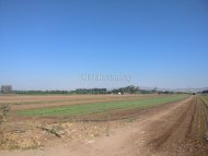 Land Area 108442 sm in Timi, Paphos - 6