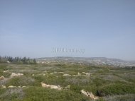 Land Parcel 10357 sm in Pegeia, Paphos - 4
