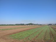 Land Area 108442 sm in Timi, Paphos - 5