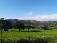 Land Area 251130 sm in Platanisteia, Limassol - 5
