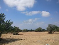 Land Parcel 23078 sm in Kouklia, Paphos - 2