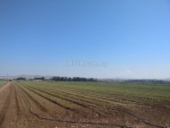 Land Area 108442 sm in Timi, Paphos - 2