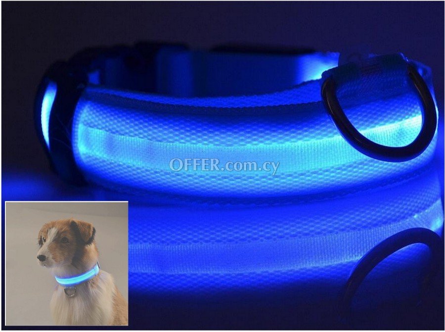 Glow in the dark led pet dog collar for night safety - 1