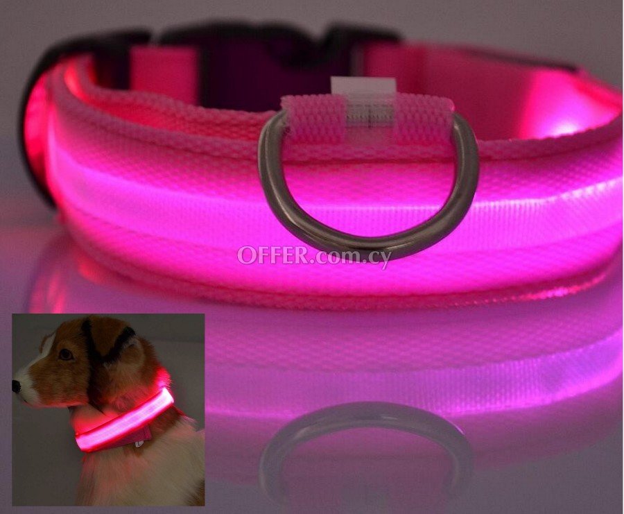 Glow in the dark led pet dog collar for night safety - 4