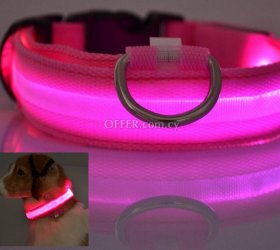 Glow in the dark led pet dog collar for night safety - 4