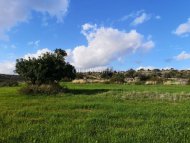 Land Parcel 8027 sm in Avdimou, Limassol - 4