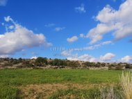 Land Parcel 8027 sm in Avdimou, Limassol - 3