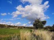 Land Parcel 8027 sm in Avdimou, Limassol - 2
