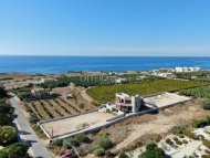 BEAUTIFUL FOUR BEDROOM VILLA IN PEYIA - 3