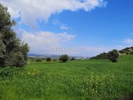 Land Parcel 19064 sm in Avdimou, Limassol - 5