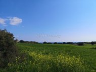 Land Parcel 19064 sm in Avdimou, Limassol - 4