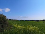 Land Parcel 19064 sm in Avdimou, Limassol - 4