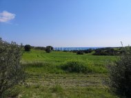Land Parcel 19064 sm in Avdimou, Limassol - 3
