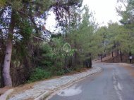 RESIDENTIAL PLOT FOR SALE IN PANO PLATRES 2261 SQ M - 1