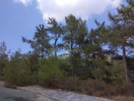 RESIDENTIAL LAND FOR SALE IN PANO PLATRES 4266 SQ M