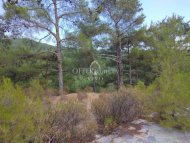RESIDENTIAL PLOT FOR SALE IN PANO PLATRES 1018 SQ M - 6