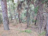 RESIDENTIAL PLOT FOR SALE IN PANO PLATRES 2261 SQ M - 4