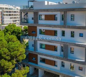 2 Bedroom Apartment in Agia Zoni