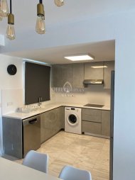 FULLY RENOVATED 3 BEDROOM PENTHOUSE IN KATO PAPHOS - 3