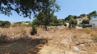 Large Building Plot for Sale in Paphos Universal - 3