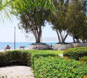 2 Bedroom Beachfront Apartment in Tourist Area - 1