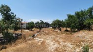 Large Building Plot for Sale in Paphos Universal - 2
