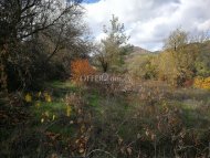 AGRICULTURAL LAND IN TRIMIKLINI