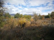 AGRICULTURAL LAND IN TRIMIKLINI - 4