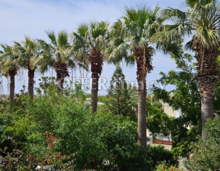 Kings Beach Villa in Kato Paphos for Sale - 4