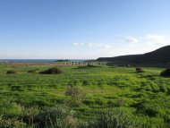 Land Parcel 10443 sm in Avdimou, Limassol - 5