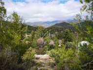 Land Parcel 2318 sm in Pera Pedi, Limassol - 5