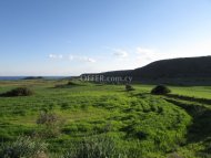 Land Parcel 10443 sm in Avdimou, Limassol - 4