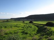 Land Parcel 10443 sm in Avdimou, Limassol - 3