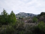Land Parcel 2318 sm in Pera Pedi, Limassol - 2